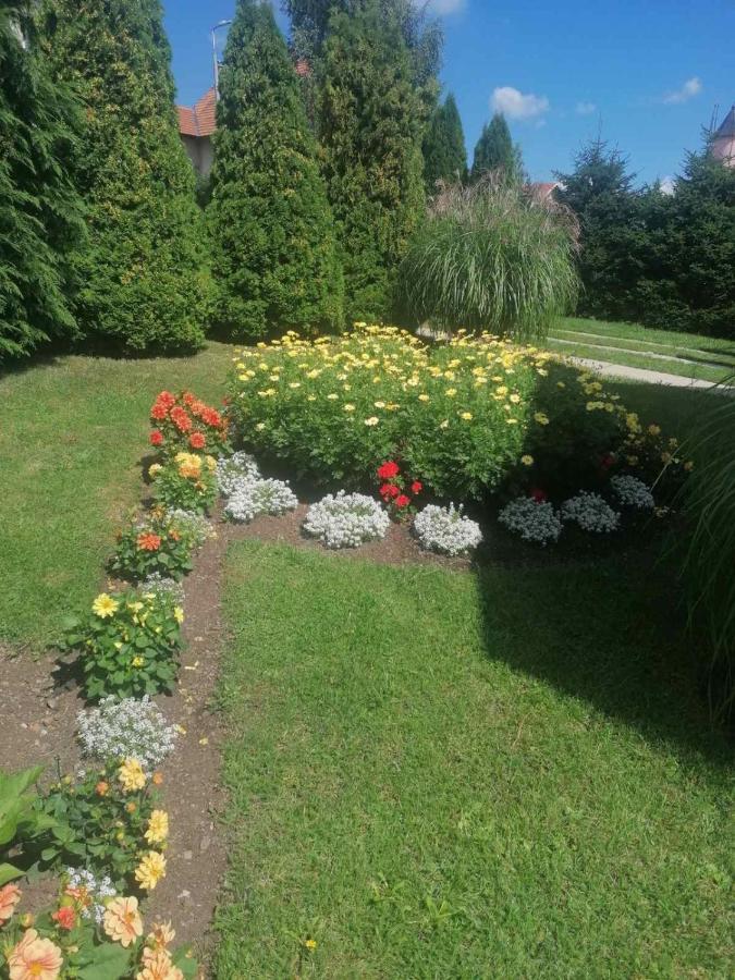 Bozovic Mv Apartments Златибор Екстер'єр фото