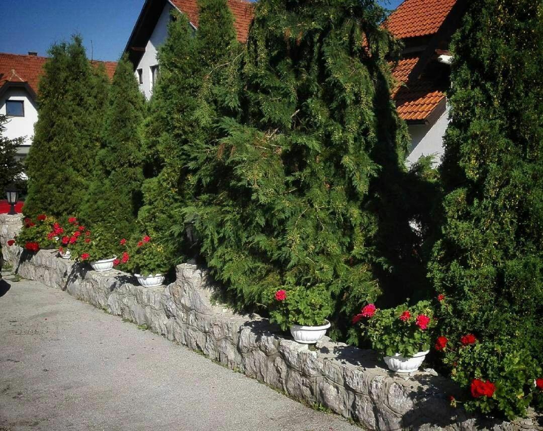 Bozovic Mv Apartments Златибор Екстер'єр фото